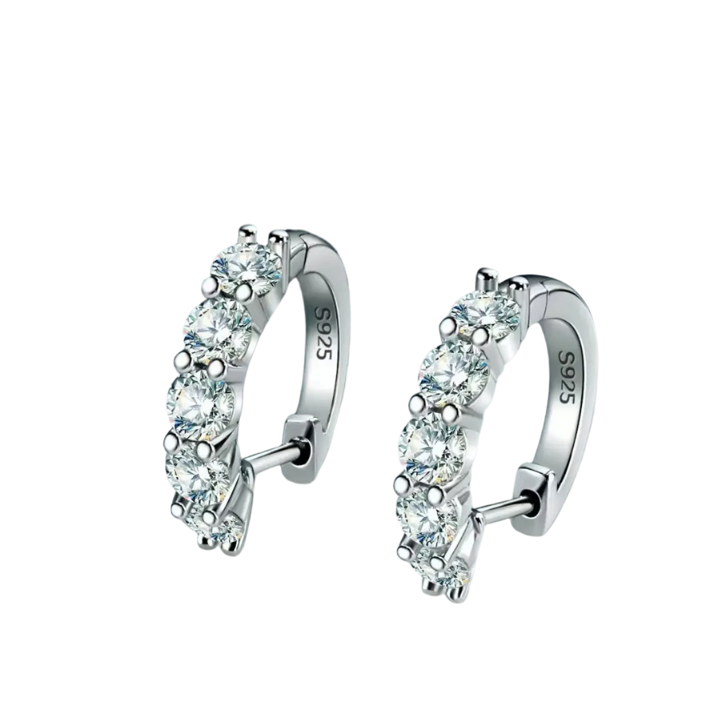 Elegant Earrings - GLOSSYLO