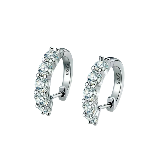 Elegant Earrings - GLOSSYLO